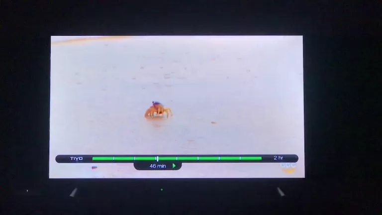 the crab from bachelor in paradise