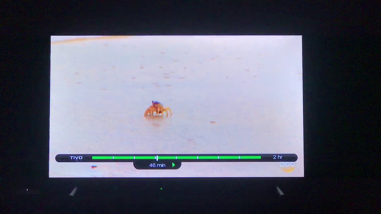 the crab from bachelor in paradise