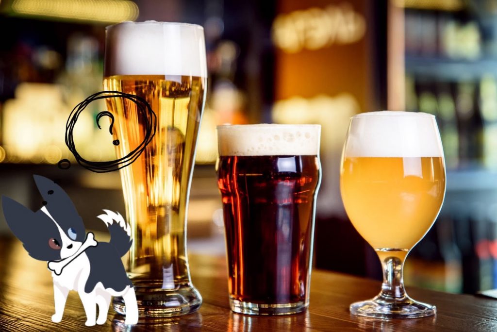 Collie, a cartoon border collie, wondering which of three beers to recommend